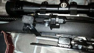01iwz1.jpg