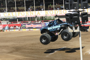MJ Salinas 384