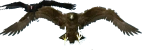 0dWiKa.png