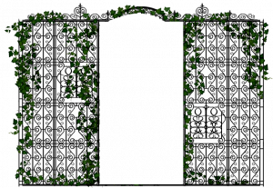 0nyYTP.png