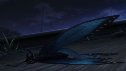14NF5a.png