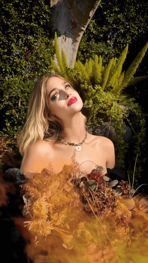 15IRi1.gif