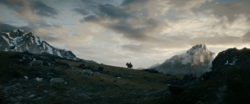 3VLvn9.gif