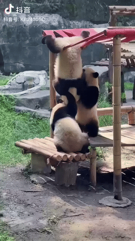 3lMqKc.gif