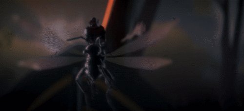 3zs2oq.gif