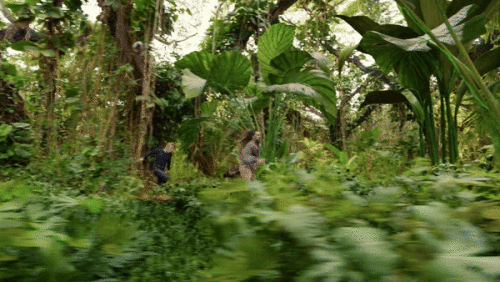 4P30vk.gif