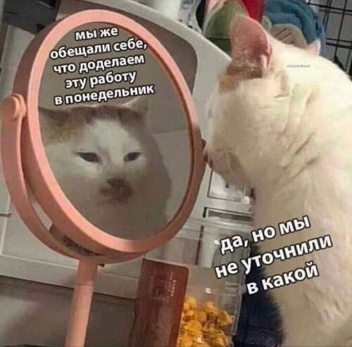 4YVzHo.jpeg