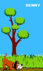 6io28C.gif