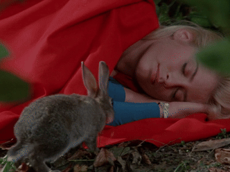 70ht6T.gif