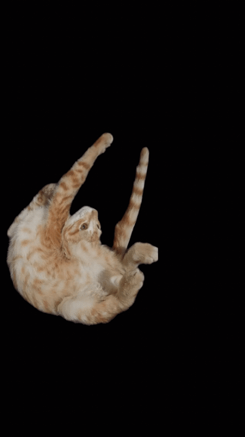 7lDFSH.gif