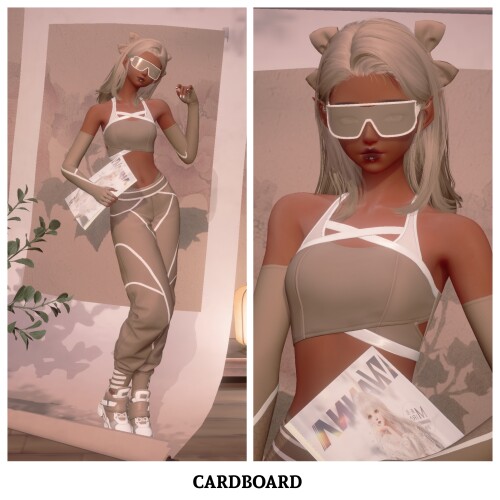 079 - Cardboard