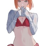 BSeiNT