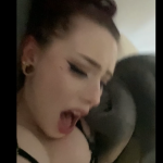 Ba2VXK