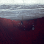 CiXhu9