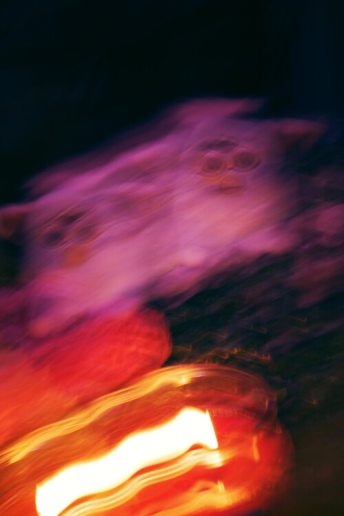 Dnvoj5.jpeg