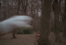 EOstQc.gif