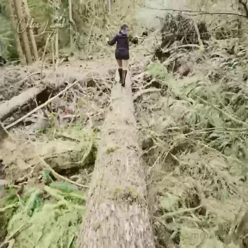 FTgrVA.webm
