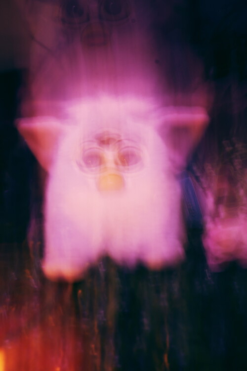 FsVRnF.jpeg