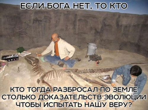 HD0UQi.jpeg