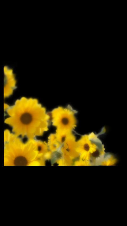 Screenshot 2024.04.17 20.55.19.272