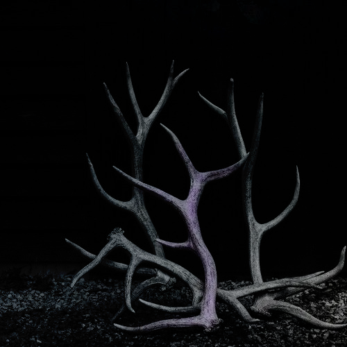 HcvnJm.png