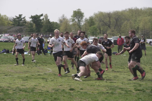 IcgZ22.jpg