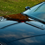 IggG9v