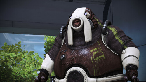 Ihcoq2.jpg