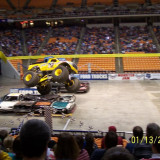 Irf365