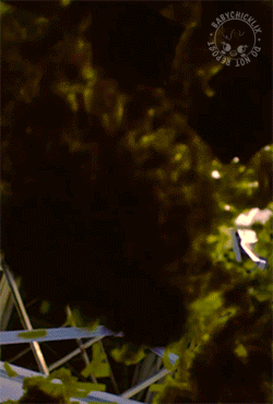 J532Zq.gif