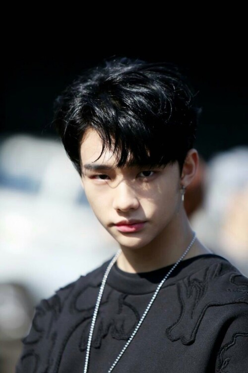 Hyunjin hwang hyunjin 43051215 736 1104