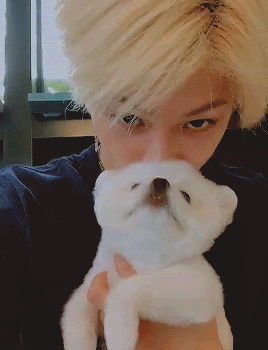 J5g51x.gif