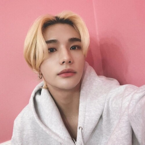 jypstraykids 272745154 906804010029582 793539350716538385 n.webp