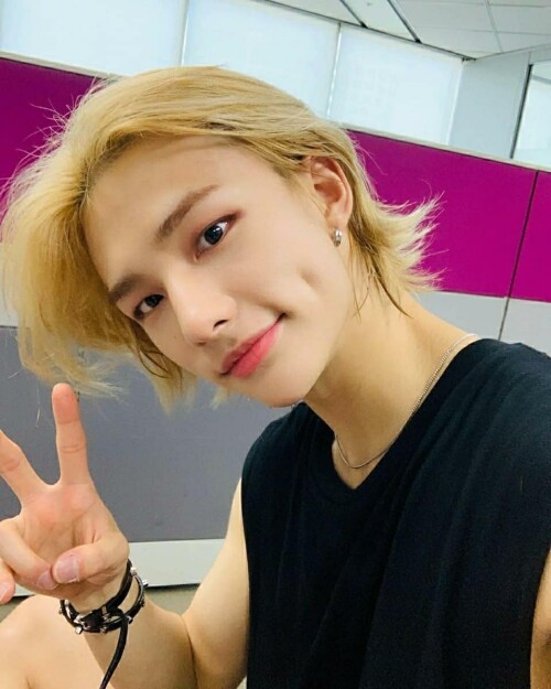 straykidshyunjins 176332747 156827469692769 8261457002267004834 n
