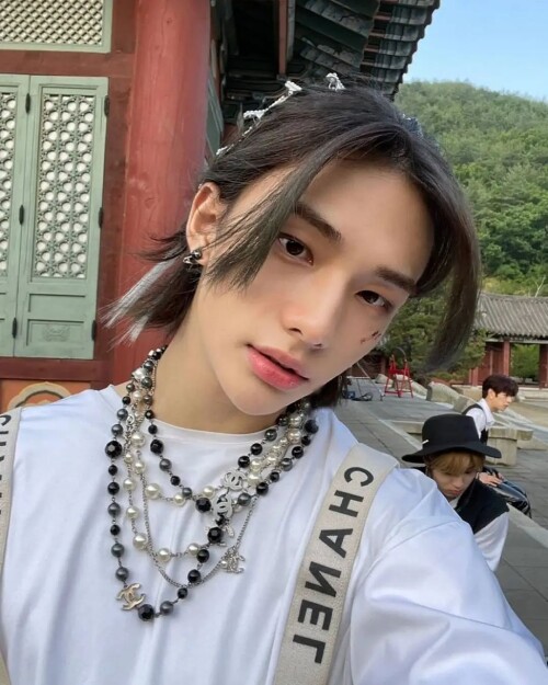 straykidshyunjins 260053141 1342052816254466 5576589897409880685 n.webp