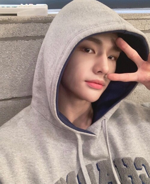 straykidshyunjins 272283248 2769595683333859 5202749310514379523 n