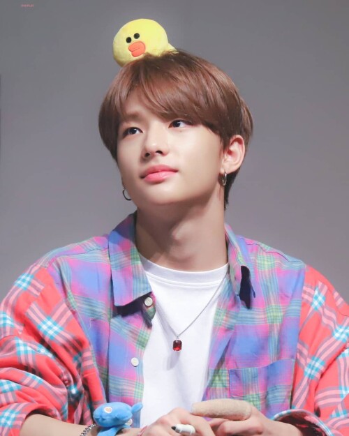 straykidshyunjins 57447345 365167010789141 3398852694881013001 n
