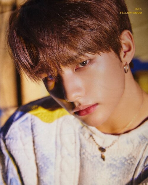 straykidshyunjins 61739216 1066585000197541 8900720492799091357 n