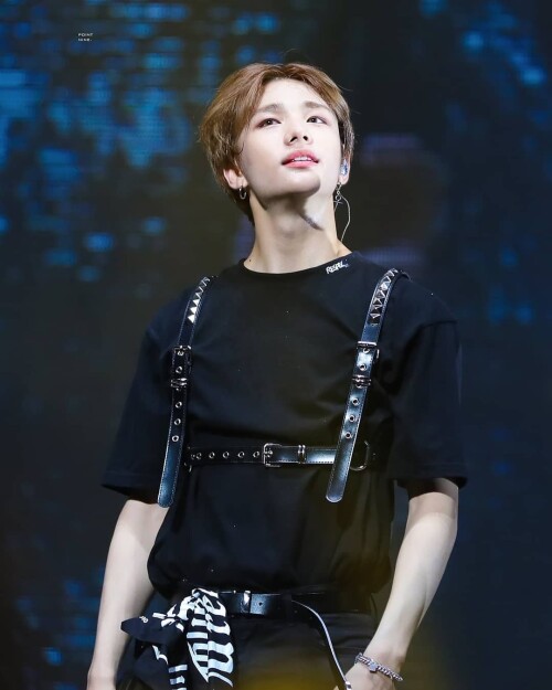 straykidshyunjins 59820699 361535931153143 8531699823022452403 n