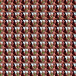 JWqK7Z
