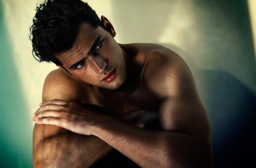 sean003 800x528