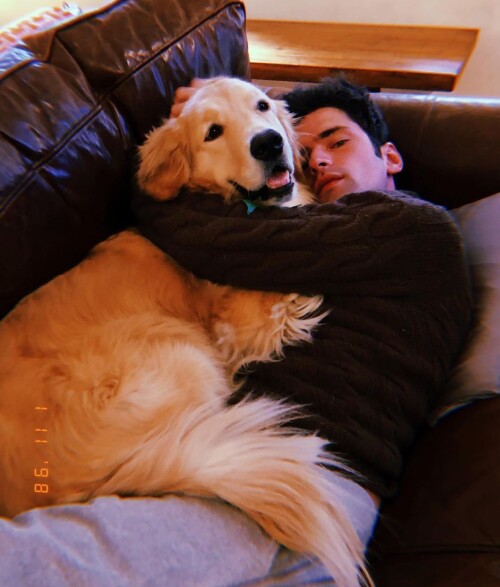 seanopry55 47585099 394635831308505 8488454886508053827 n