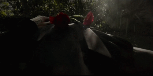 Jclo6F.gif