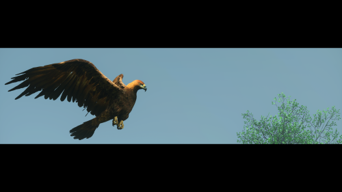 Ju6HhC.png