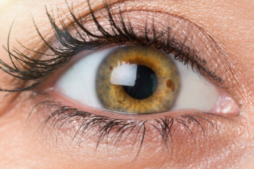 A beautiful woman's eye, golden brown and with long, dark lashes is seen in close up.