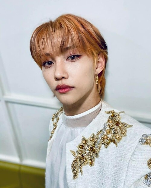 felix straykids 131925456 3877423948983462 2826125866291130317 n