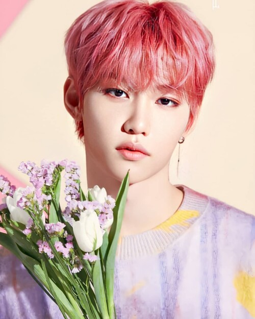 felix straykids 117333898 744713282771352 616839247972567714 n