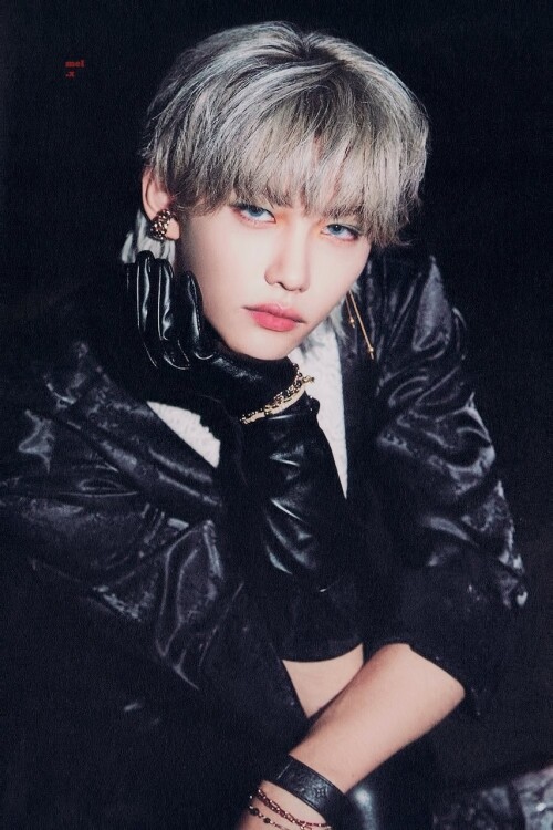 Felix stray kids F0 9F 8C BA 43569560 853 1280