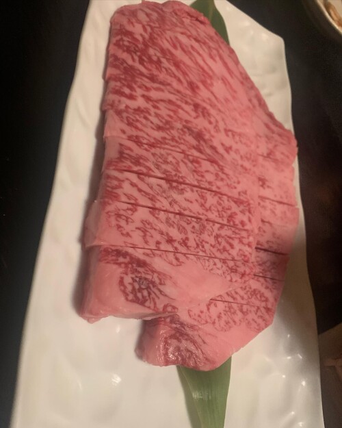 Hana Okamoto 555