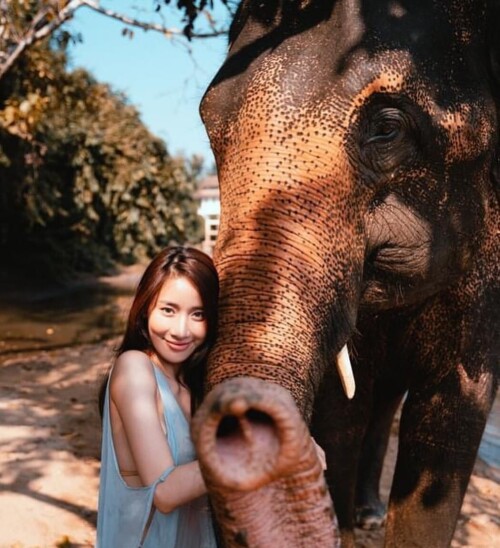 Mook Pichana 614